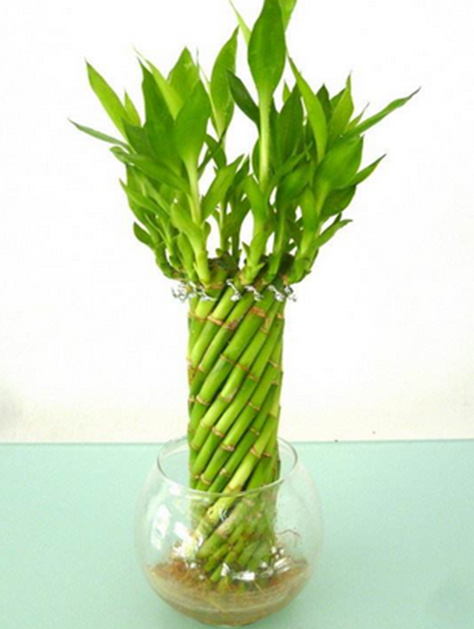 三亿体育官网_伊朗扣押油轮后 各国航运公司或租用挂中国国旗船只