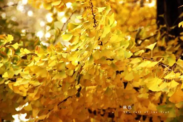 三亿体育官网-用轰炸机对付试图硬闯51区的年轻人?美军删文并道歉(图2) 三亿体育官网