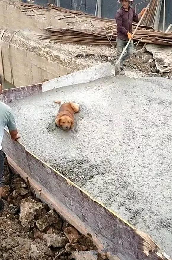 暖心!湖北中通将1228箱女性卫生用品送至武汉各医疗队-三亿体育手机版(图4) 三亿体育手机版